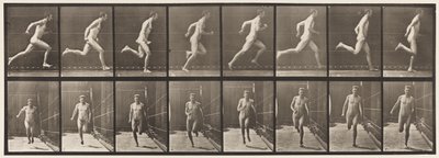 Plaka 67. Koşu, 1872-1885 by Eadweard Muybridge