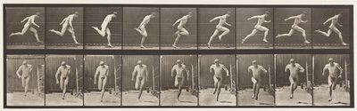 Plaka 68. Koşu, 1872-1885 by Eadweard Muybridge