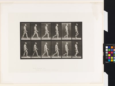 Plaka 6.Yürüyüş by Eadweard Muybridge