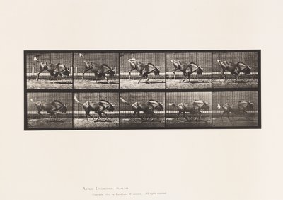 Plaka 702. Gnu; Bucking ve Dörtnala by Eadweard Muybridge