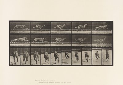 Plaka 708. Köpek; dörtnala; kahverengi yarış tazı by Eadweard Muybridge