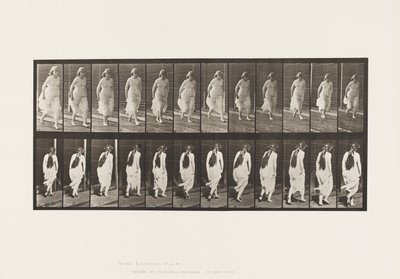 Plaka 71.Çalışıyor, 1885 by Eadweard Muybridge