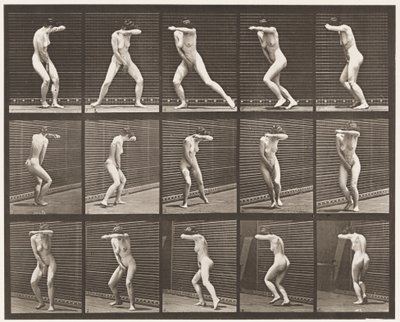Plaka 73. Sürpriz İçinde Dönüp Kaçış, 1872-1885 by Eadweard Muybridge