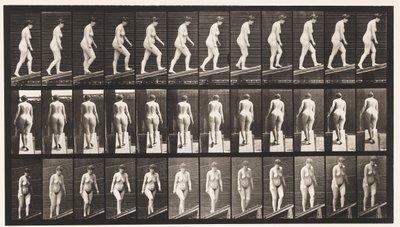 Plaka 77. Artan Eğim by Eadweard Muybridge
