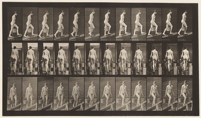 Plaka 81. Artan Eğim. by Eadweard Muybridge