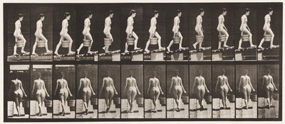 Levha 83. Yükselen Eğim Sağ Elde Kova Su by Eadweard Muybridge