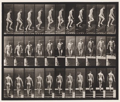 Levha 88. Yükselen Merdivenler, 1872-1885 by Eadweard Muybridge
