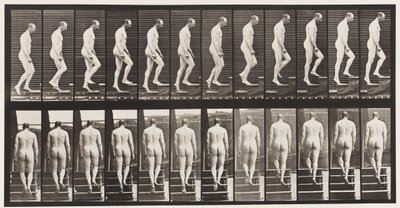 Plaka 89. Yükselen Merdivenler by Eadweard Muybridge
