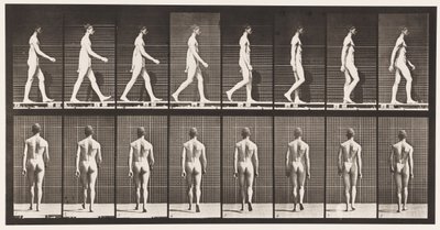 Plaka 8. Yürüyüş by Eadweard Muybridge