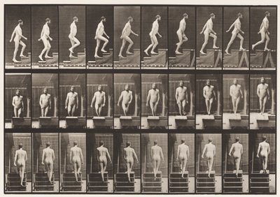 Plaka 90. Yükselen Merdivenler by Eadweard Muybridge