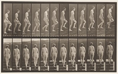 Plaka 92. Yükselen Merdivenler by Eadweard Muybridge