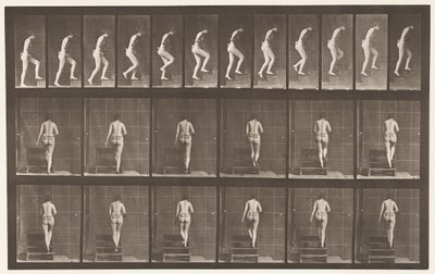 Plaka 93. Yükselen Merdivenler by Eadweard Muybridge