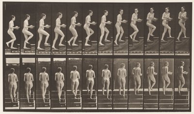 Plaka 94. Yükselen Merdivenler Etrafa Bakıyor; Ellerinde lavabo by Eadweard Muybridge