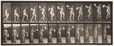 Levha 96. Yükselen Merdivenler Çevreye Bakıyor; sallayarak mendil by Eadweard Muybridge