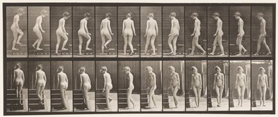 Levha 98. Dönen ve Çıkan Merdivenler, 1872-1885 by Eadweard Muybridge