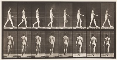 Plaka 9. Yürüyüş, 1872-1885 by Eadweard Muybridge