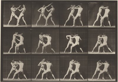  by Eadweard Muybridge