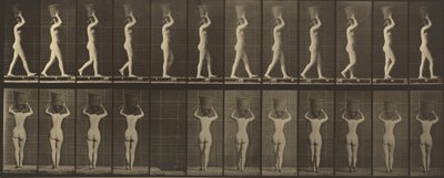  by Eadweard Muybridge