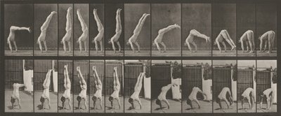  by Eadweard Muybridge