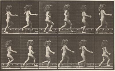  by Eadweard Muybridge