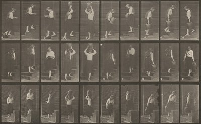 Plaka Numarası 504. Çıkan ve inen merdivenler by Eadweard Muybridge