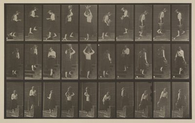 Plaka Numarası 504. Çıkan ve inen merdivenler by Eadweard Muybridge