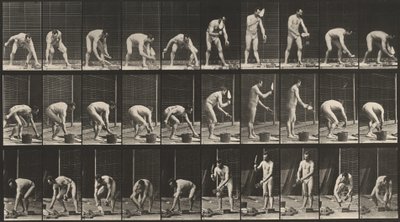  by Eadweard Muybridge