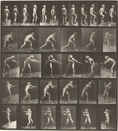 Plaka Numarası 521. A: Yürüyüş. B: Yükselen adım. C. Disk atma. D: Kürek kullanmak. E, F. Toplama kullanma by Eadweard Muybridge