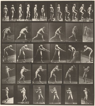  by Eadweard Muybridge