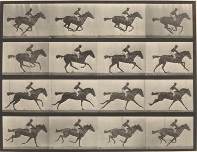 Plaka Numarası 626. Dörtnala, safkan defne kısrağı, Annie G. by Eadweard Muybridge