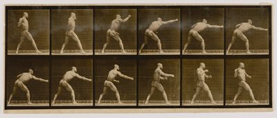  by Eadweard Muybridge