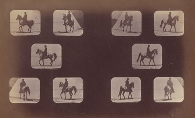 Kısaltma Çalışmaları. Atlar. Yürüme. Muhammed. 119-120 by Eadweard Muybridge