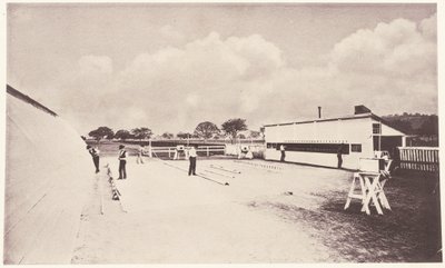 Anlık Fotoğrafta Gösterilen Hareket Halindeki At. Anatomi Üzerine Temellendirilen Hayvan Mekaniği Üzerine Bir Çalışma ve Kameranın Vahiyleri ile. Leland Stanford
