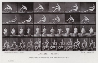 Hareket Halindeki İnsan Figürü: Sporcu, Kürek Çekme (s/b fotoğraf) by Eadweard Muybridge