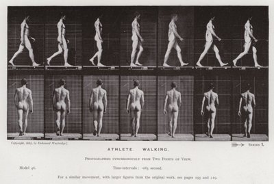 Hareket Halindeki İnsan Figürü: Sporcu, Yürüyüş (s/b fotoğraf) by Eadweard Muybridge