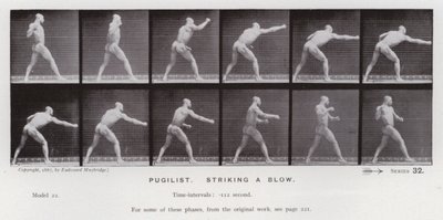 Hareket Halindeki İnsan Figürü: Pugilist, bir darbe vuruyor (s/b fotoğraf) by Eadweard Muybridge