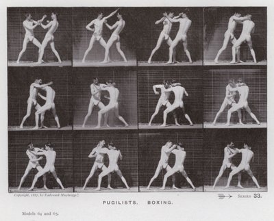 Hareket Halindeki İnsan Figürü: Boksörler, Boks (s/b fotoğraf) by Eadweard Muybridge