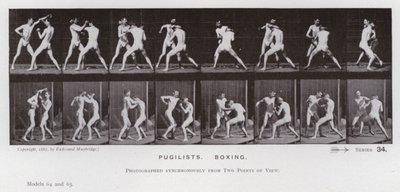 Hareket Halindeki İnsan Figürü: Boksörler, Boks (s/b fotoğraf) by Eadweard Muybridge