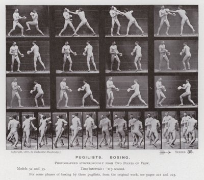 Hareket Halindeki İnsan Figürü: Boksörler, Boks (s/b fotoğraf) by Eadweard Muybridge