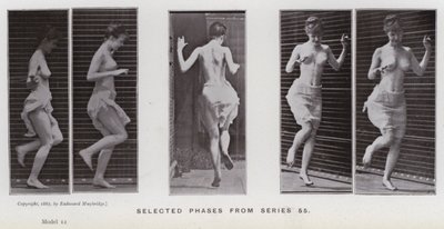 Hareket Halindeki İnsan Figürü: 55. seriden seçilmiş aşamalar (s/b fotoğraf) by Eadweard Muybridge