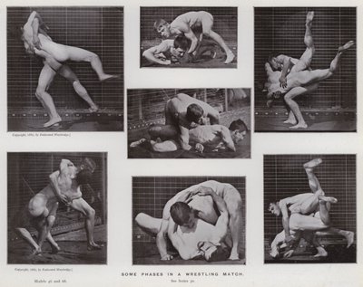 Hareket Halindeki İnsan Figürü: Bir güreş maçındaki bazı aşamalar (s/b fotoğraf) by Eadweard Muybridge