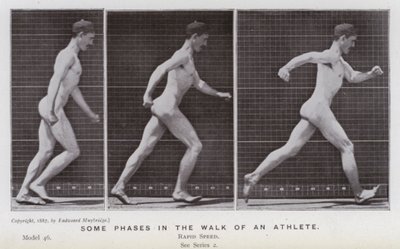 Hareket Halindeki İnsan Figürü: Bir sporcunun yürüyüşünün bazı aşamaları (s/b fotoğraf) by Eadweard Muybridge