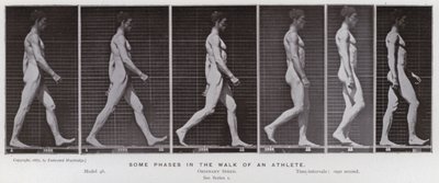 Hareket Halindeki İnsan Figürü: Bir sporcunun yürüyüşünün bazı aşamaları (s/b fotoğraf) by Eadweard Muybridge