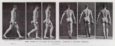 Hareket Halindeki İnsan Figürü: 50 kiloluk bir dambıl taşıyan bir sporcunun yürüyüşünün bazı aşamaları (s/b fotoğraf) by Eadweard Muybridge