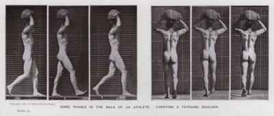 Hareket Halindeki İnsan Figürü: 75 kiloluk bir kaya taşıyan bir sporcunun yürüyüşünün bazı aşamaları (s/b fotoğraf) by Eadweard Muybridge