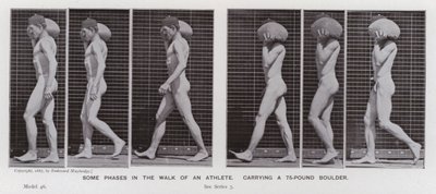 Hareket Halindeki İnsan Figürü: 75 kiloluk bir kaya taşıyan bir sporcunun yürüyüşünün bazı aşamaları (s/b fotoğraf) by Eadweard Muybridge