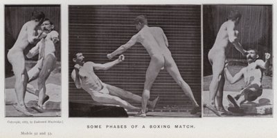 Hareket Halindeki İnsan Figürü: Bir boks maçının bazı aşamaları (s/b fotoğraf) by Eadweard Muybridge
