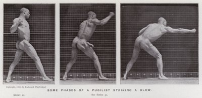 Hareket Halindeki İnsan Figürü: Bir boksörün darbe vurduğu bazı aşamalar (s/b fotoğraf) by Eadweard Muybridge