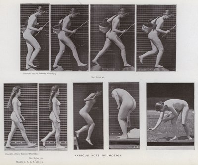 Hareket Halindeki İnsan Figürü: Çeşitli hareket eylemleri (s/b fotoğraf) by Eadweard Muybridge