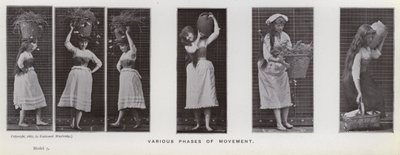 Hareket Halindeki İnsan Figürü: Hareketin çeşitli evreleri (s/b fotoğraf) by Eadweard Muybridge